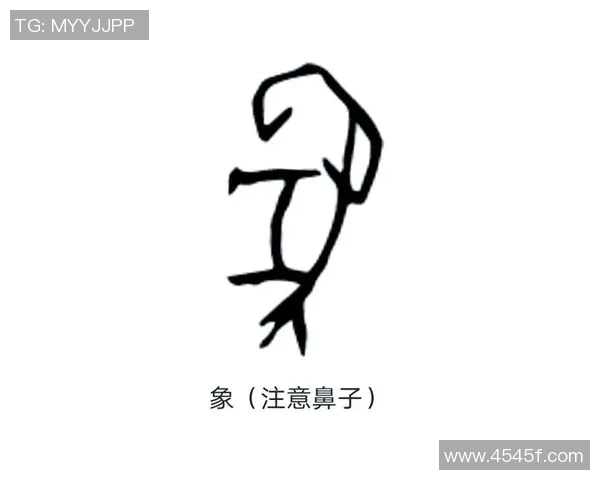 天宇多字和值谜探秘：解锁汉字的奥秘与智慧之旅